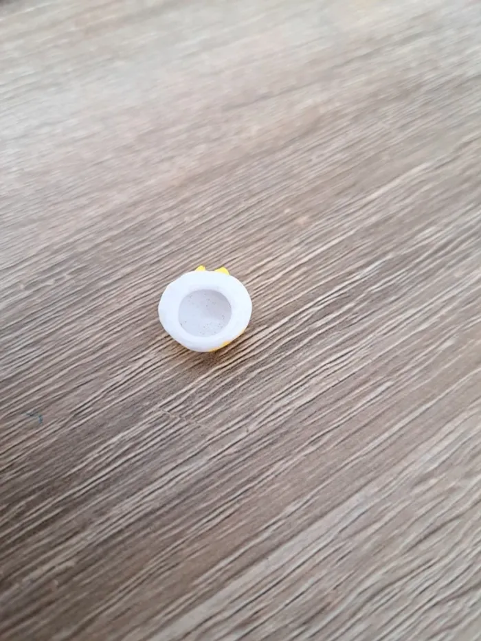 Polly in Paris - photo numéro 2