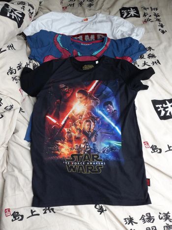 lot 3 t-shirts manches courtes 12 ans