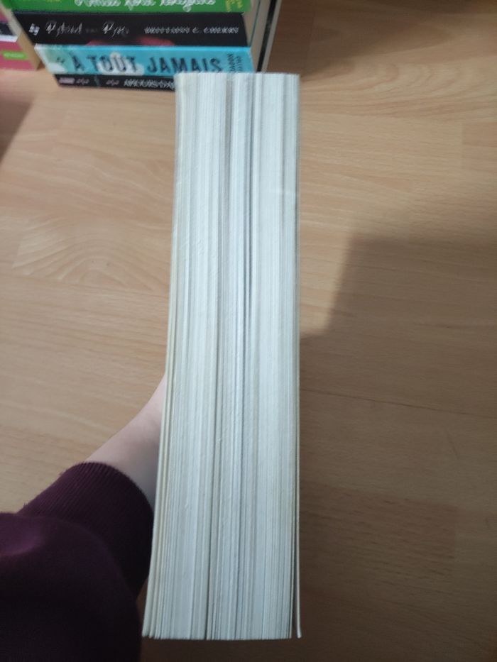 The way i used to be - photo numéro 2