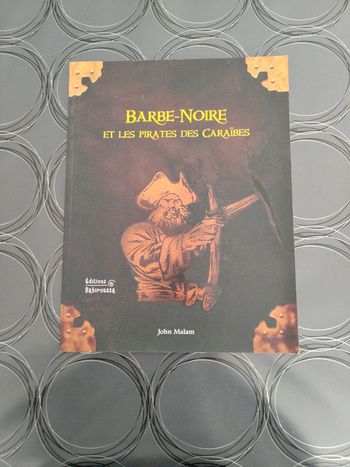 Livre enfant thème Pirates complètement neuf