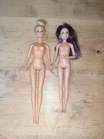Lot de Barbies