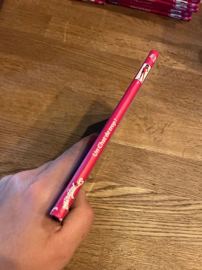 Livre La bibliothèque Rose Miraculous Un chat de trop ! Numéro 2 - photo numéro 2
