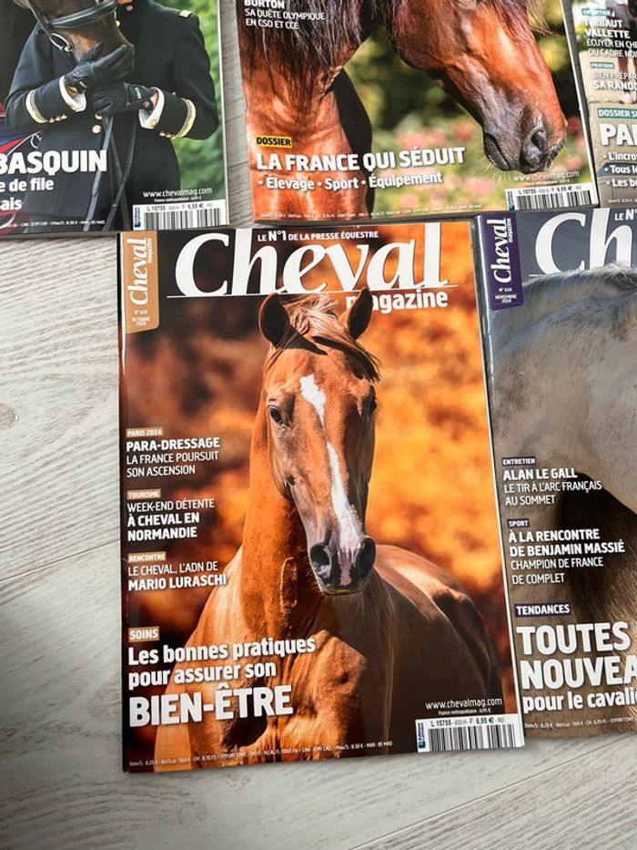 Cheval magazine collection 2024 - photo numéro 8