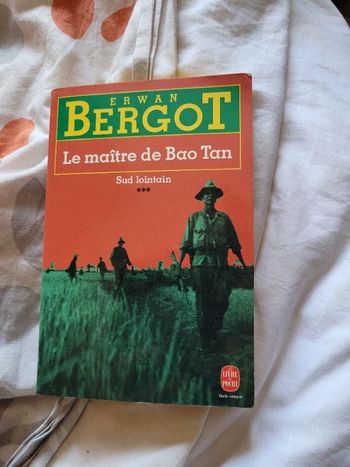 Le maître de Bao Tan Erwan Bergot