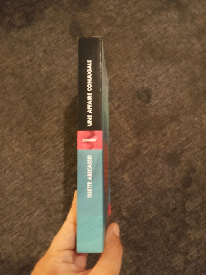 Livre (52) 📚 Une affaire conjugale - photo numéro 3