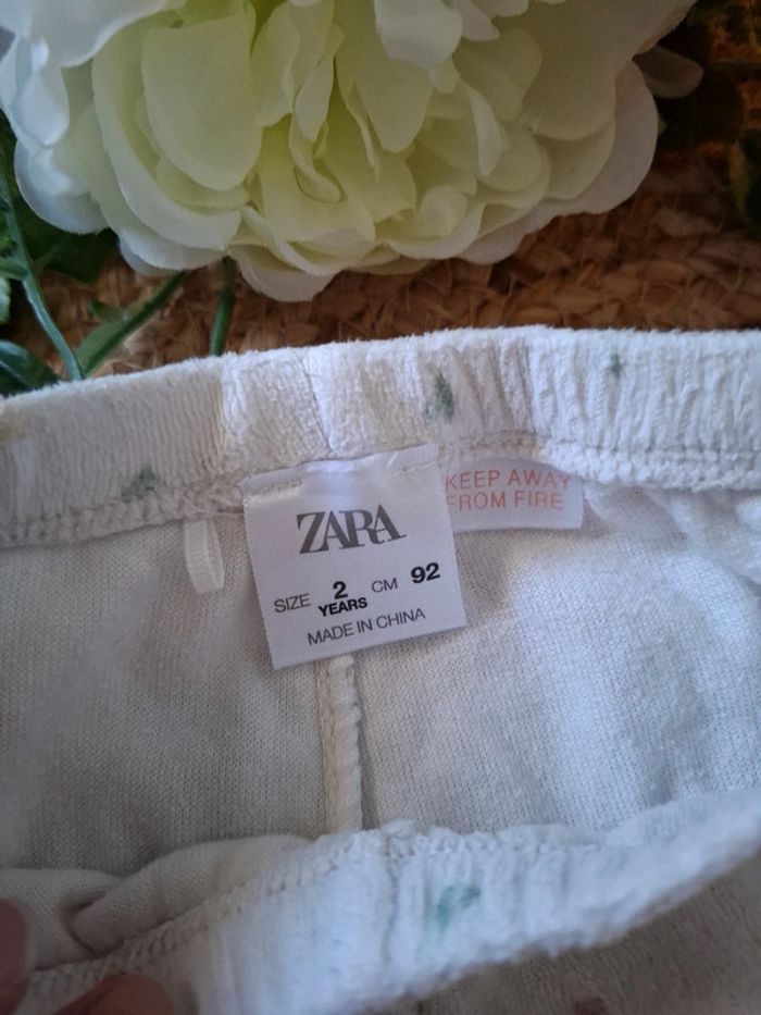 Pyjama zara 2 ans - photo numéro 3