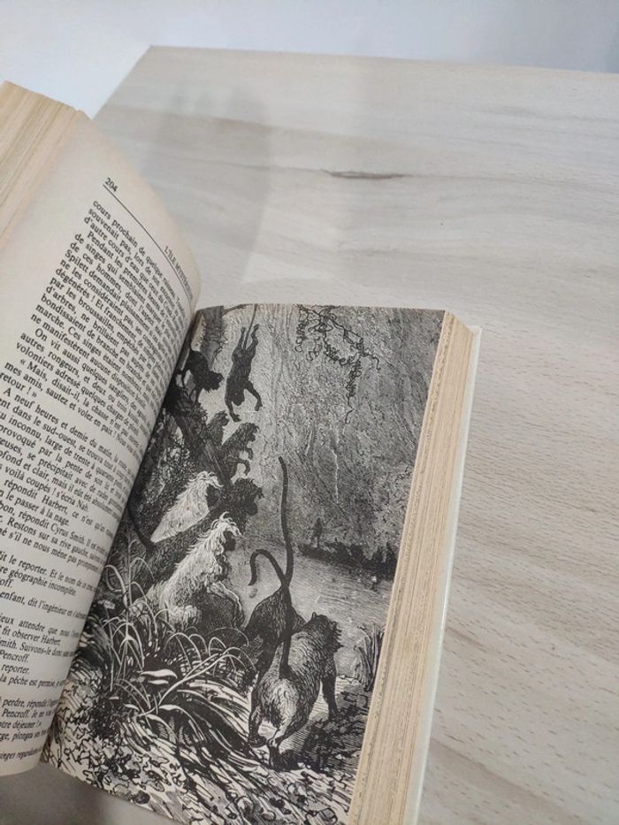 Livre grand format l'île mystérieuse Verne idéale bibliothèque gravures - photo numéro 9