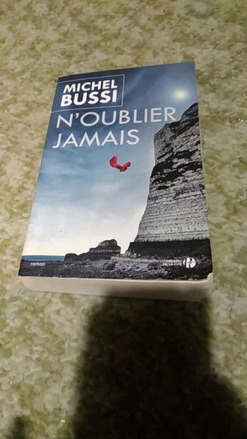 Roman N'oublier jamais