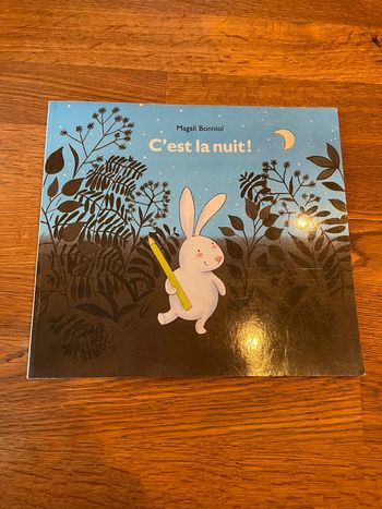 Livre L’école des Max C’est la nuit !