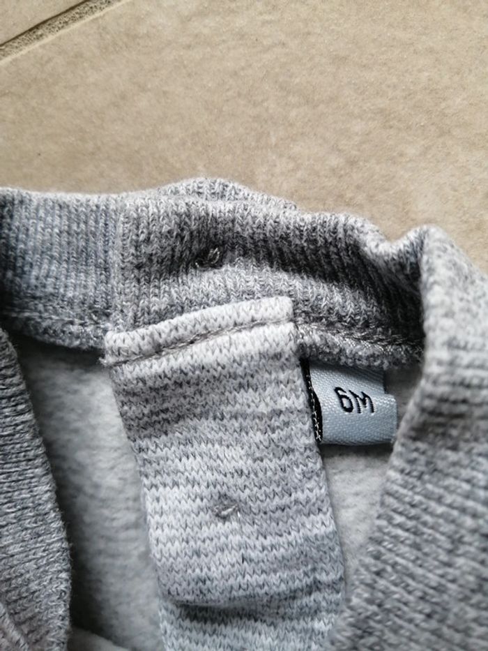 Sweat chien 6 mois - photo numéro 4