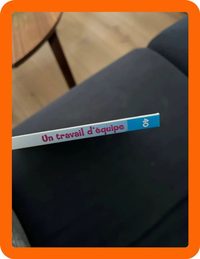Livre pour enfants sur les animaux de la ferme altaya un travail d équipe - photo numéro 2