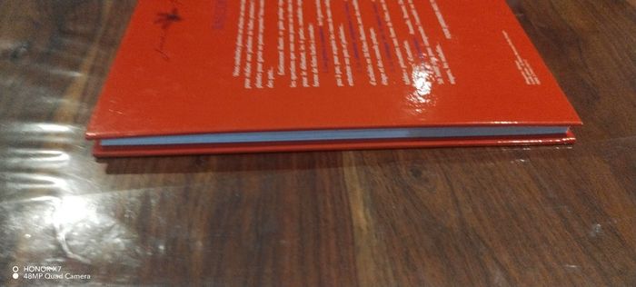 Balcon facile - photo numéro 4