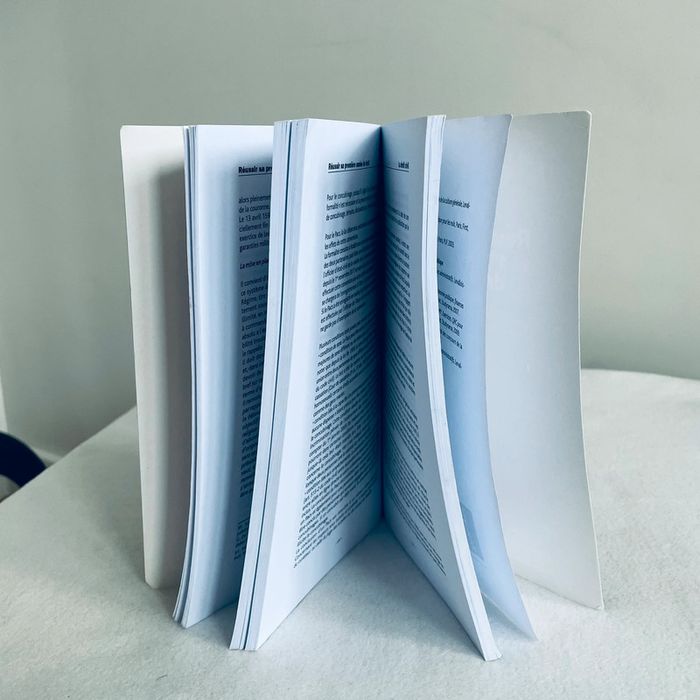 Manuel scolaire. Réussir sa 1re année de droit. Librairie Studyrama. - photo numéro 6