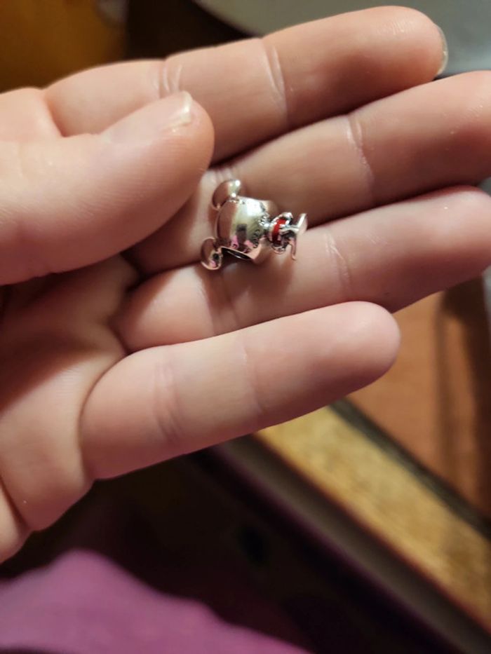 Accessoire - photo numéro 3