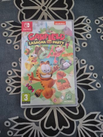 Jeux switch garfield 