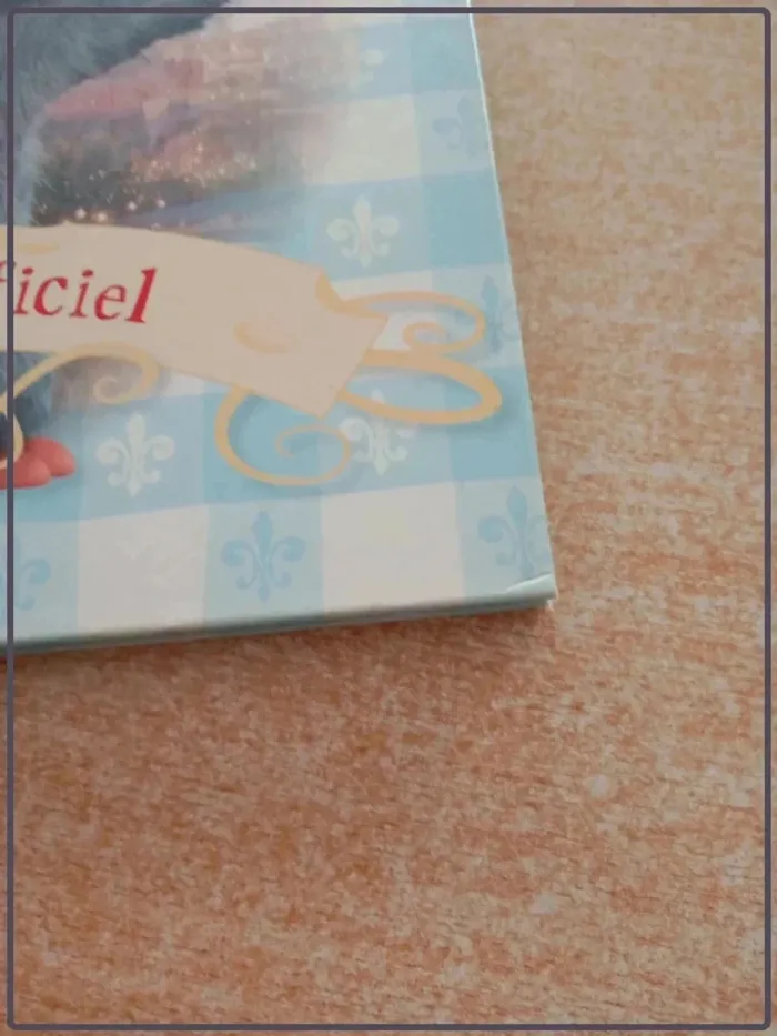 Livre ratatouille - photo numéro 5
