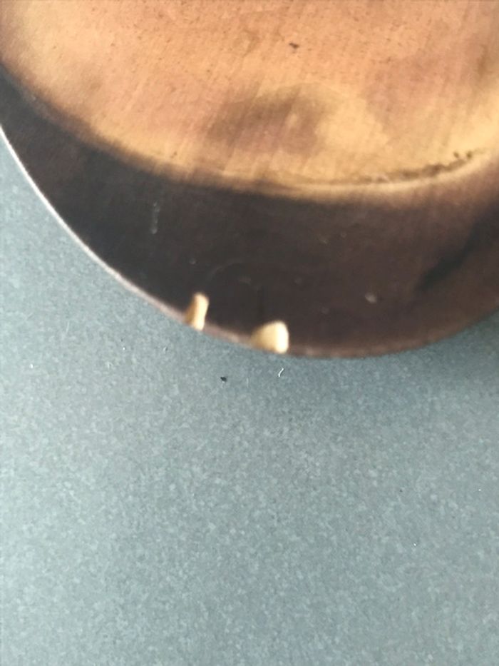 Mules le temps des cerises Taille 36 - photo numéro 3