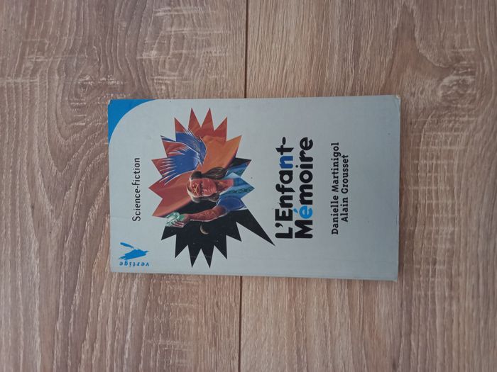 Livre l'enfant mémoire de Danielle Martinigole