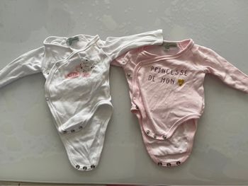 Lot 2 bodies
