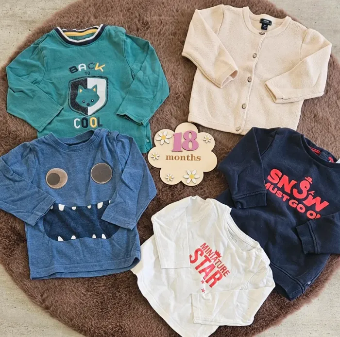 Lot pull et t-shirt manches longues 18 mois garçon