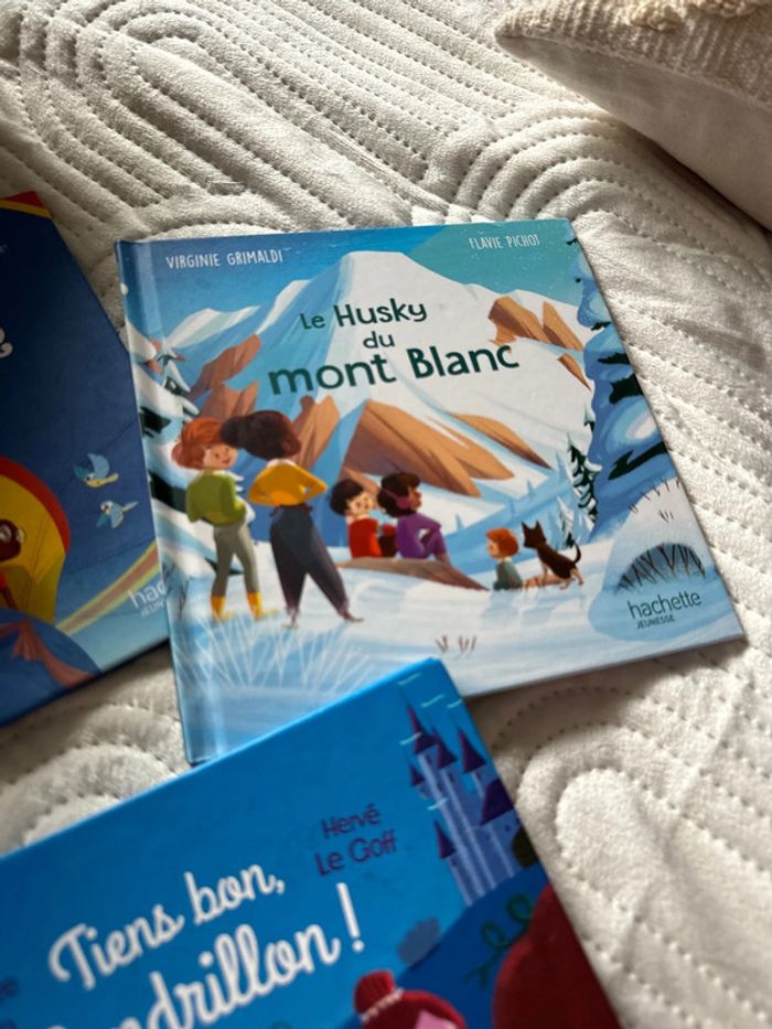 Lot 3 livres Mac do très bon état - photo numéro 3