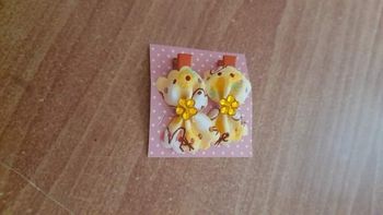 Barrettes à cheveux