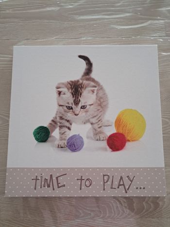Toile chat