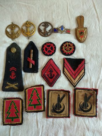 15 insignes militaires