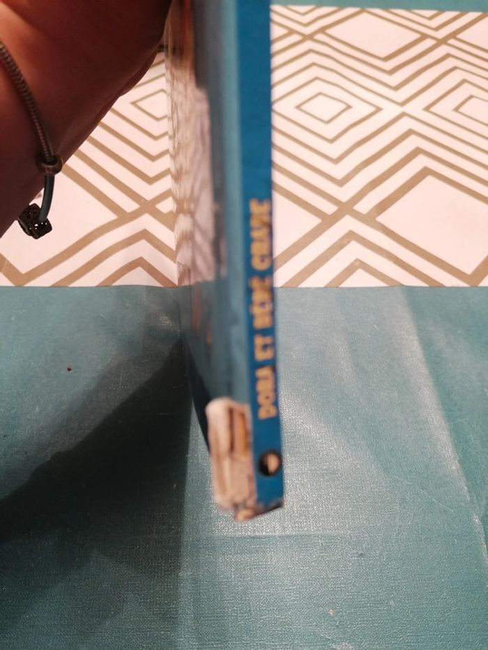 Livre dora l'exploratrice - photo numéro 2