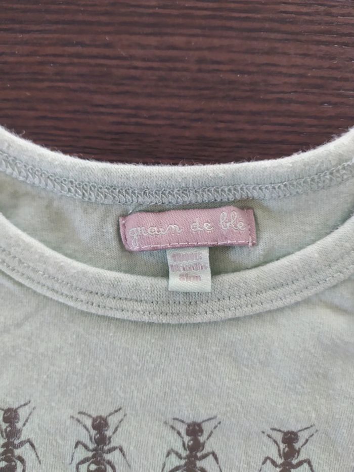 T-shirt été manche courte 12 mois grain de blé vert fourmies - photo numéro 3