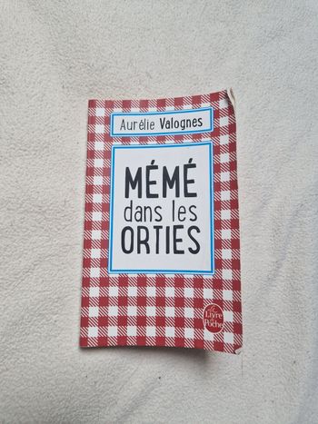 Roman mémé dans les orties de Aurélie valognes