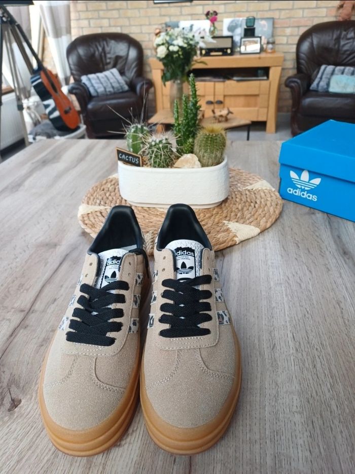 Magnifique Gazelle - photo numéro 2