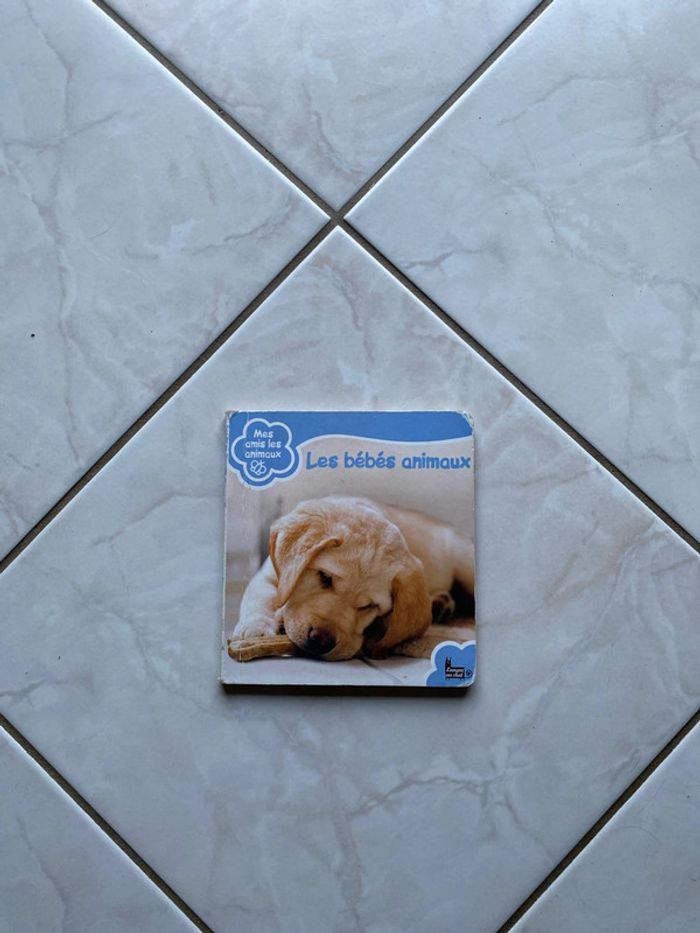 Livre sur les Bebe animaux
