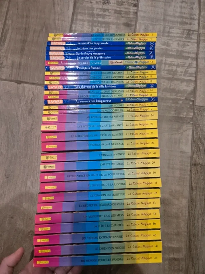 Lot de livres la cabane magique