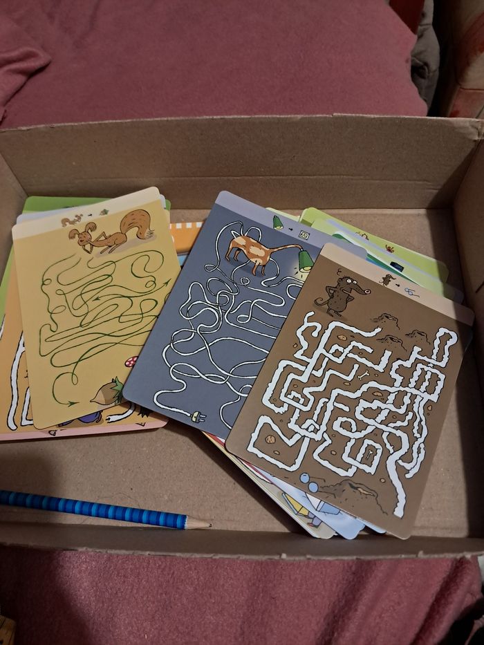 Cartes labyrinthes - photo numéro 3