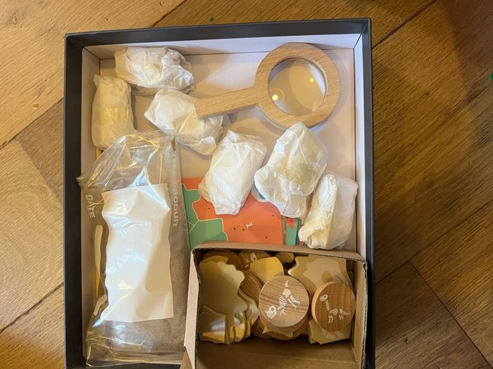 Jeu fouille dinosaure Janod - photo numéro 3