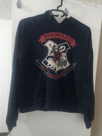 Pull à capuche Harry Potter 