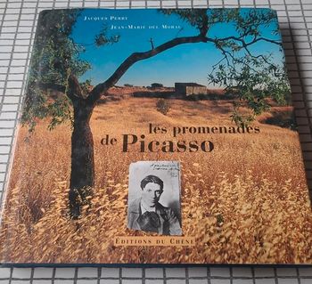 Les promenades de picasso