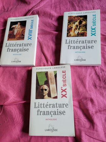 Lot de 3 livres littérature française