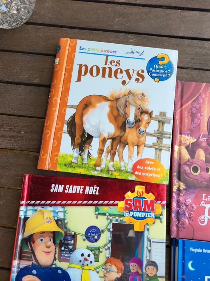 Lot livres enfants. - photo numéro 6