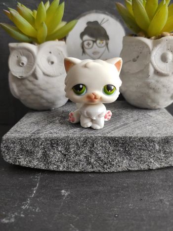 My Littlest Petshop LPS Pet Shop chat persan 15 cat  #geektradelpschat