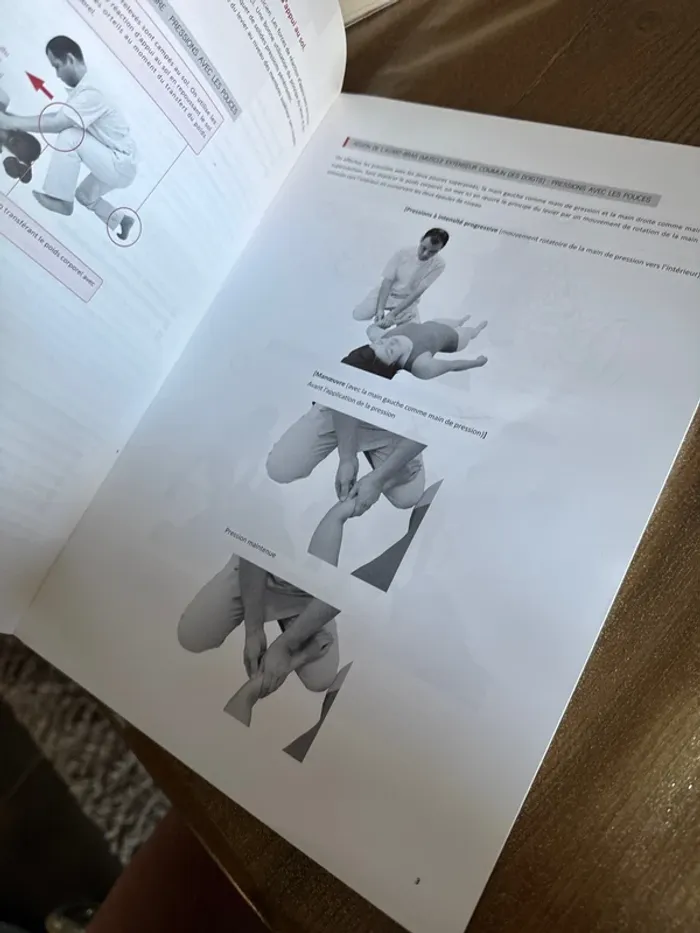 Livre précis de shiatsu kuretake - photo numéro 8