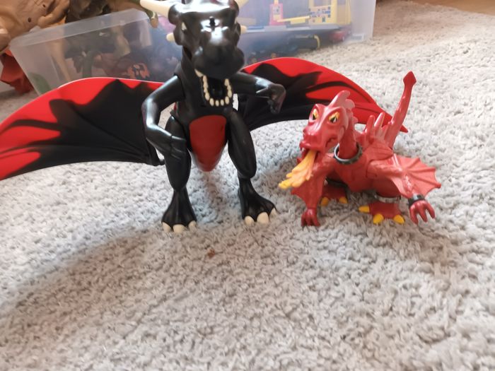 Dragons - photo numéro 2