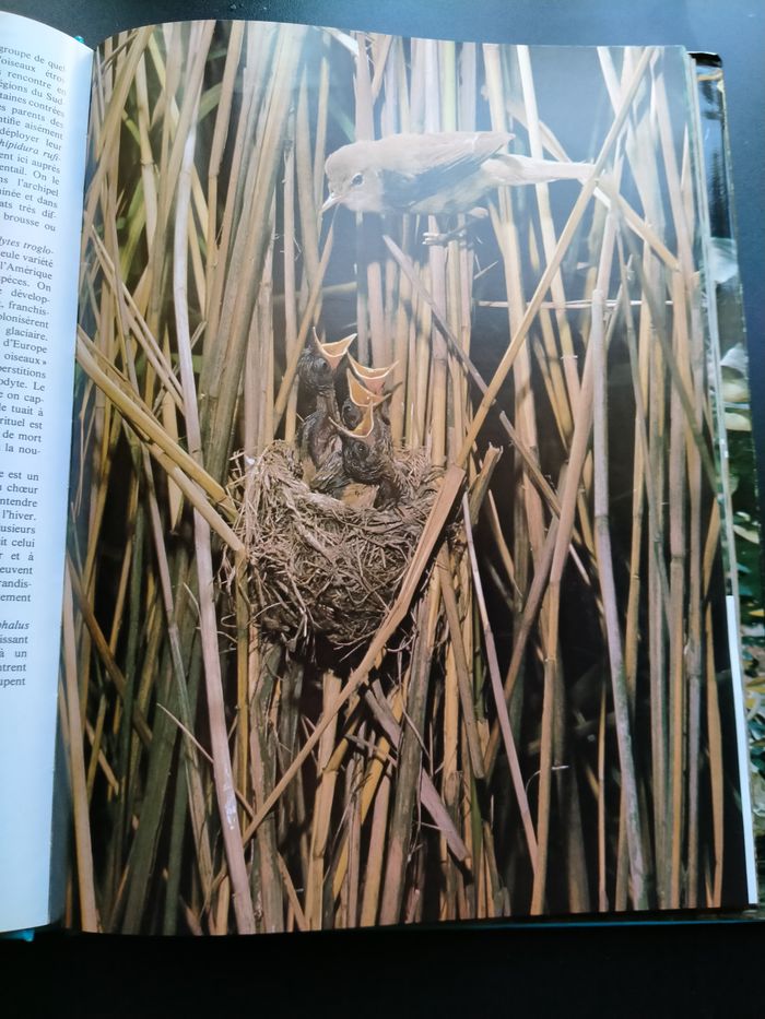 Livre La passion des oiseaux - photo numéro 8