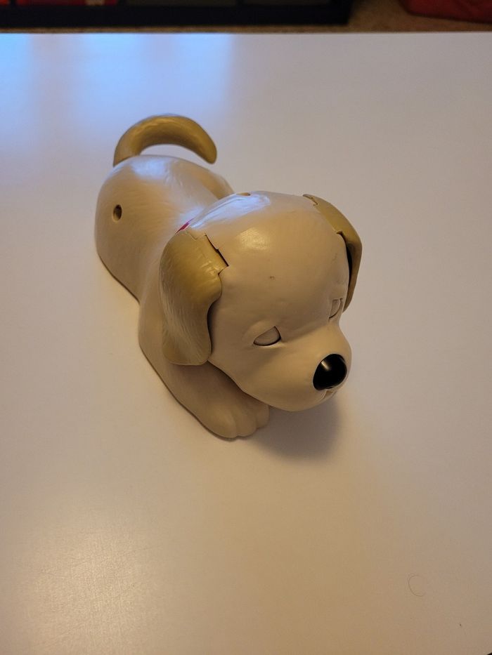 Chien - photo numéro 3