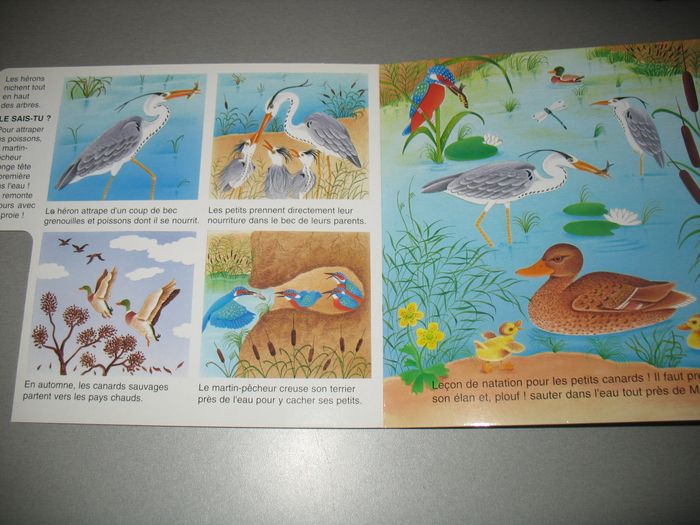 LIVRE : TROIS PETITS TOURS AU BORD DE L'EAU "FLEURUS ENFANTS" - n°21 - photo numéro 3