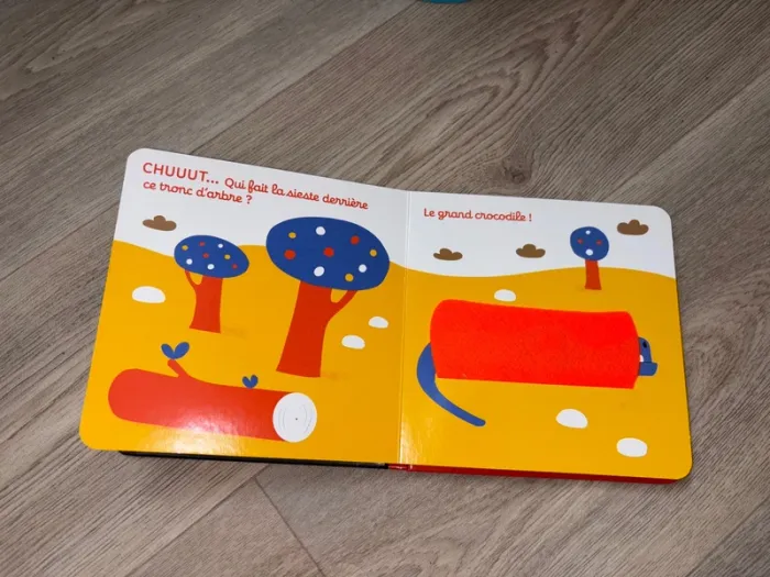 Livre bébé - photo numéro 4