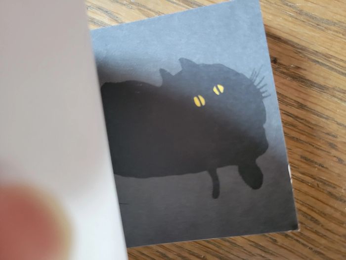 Flipbook Chaviré - photo numéro 2