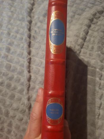 L'affaire du courrier de lyon. Livre premier