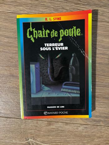 Livre Terreur sous l’évier Chair de Poule